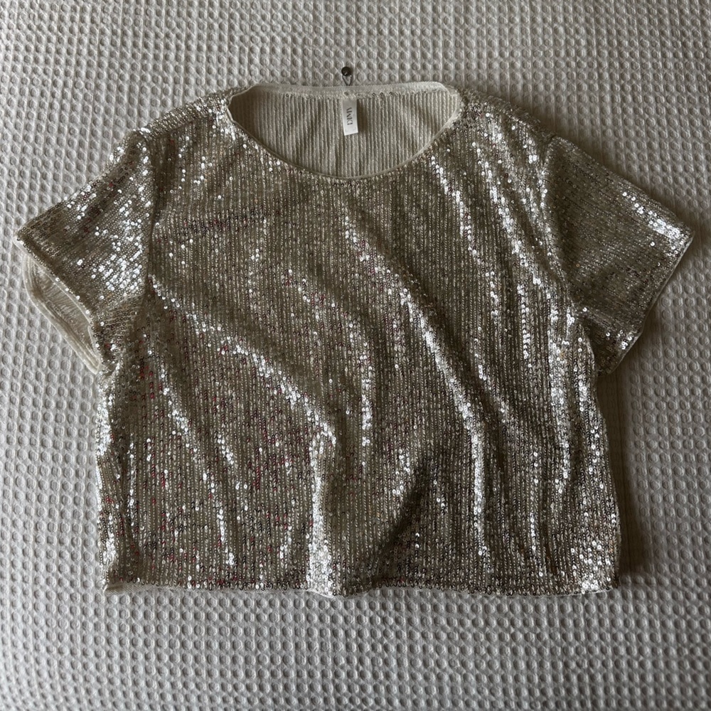 Sequin Silver Crop Top